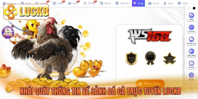 Khái quát thông tin về sảnh đá gà trực tuyến LUCK8