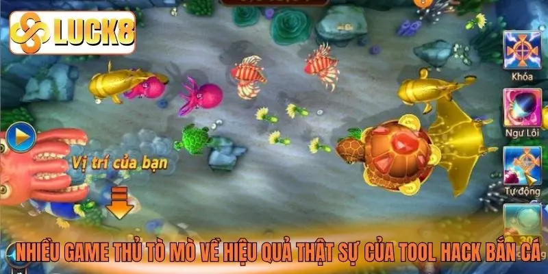 Nhiều game thủ tò mò về hiệu quả thật sự của tool hack bắn cá