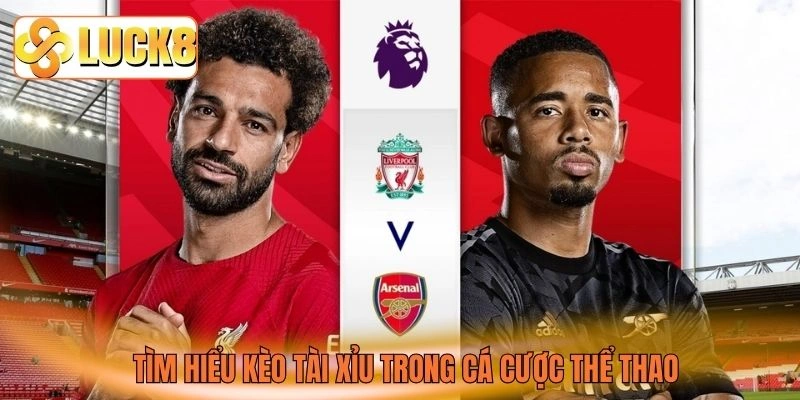 Tìm hiểu kèo tài xỉu trong cá cược thể thao