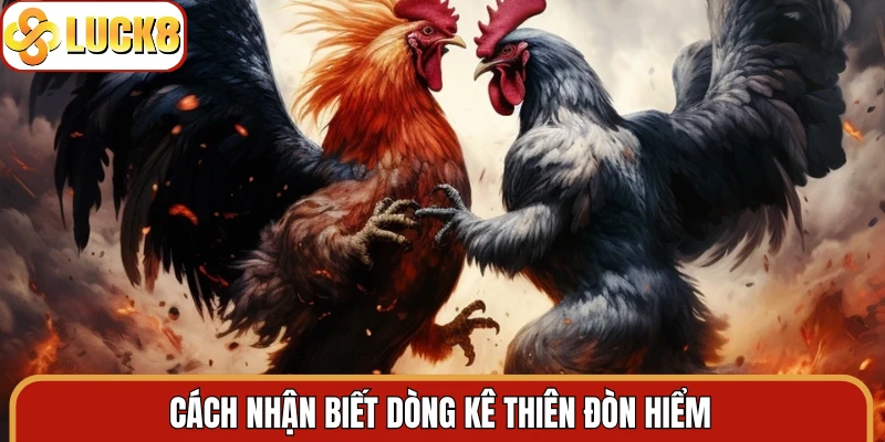 Cách nhận biết dòng kê thiên đòn hiểm