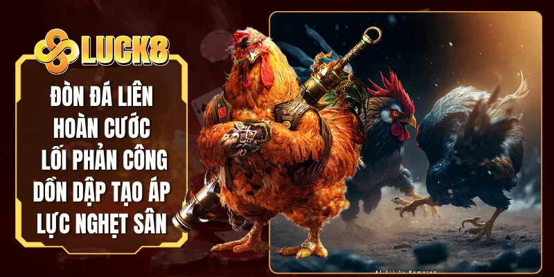 Đòn Đá Liên Hoàn Cước - Lối Phản Công Dồn Dập Tạo Áp Lực Nghẹt Sân