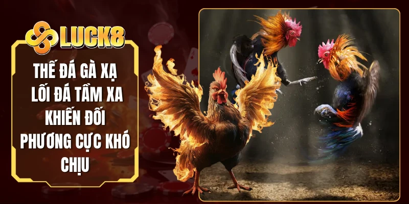 Thế Đá Gà Xạ - Lối Đá Tầm Xa Khiến Đối Phương Cực Khó Chịu