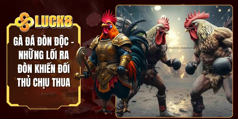 Gà Đá Đòn Độc - Những Lối Ra Đòn Khiến Đối Thủ Chịu Thua