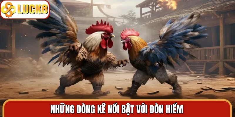 Những dòng kê nổi bật với đòn hiểm